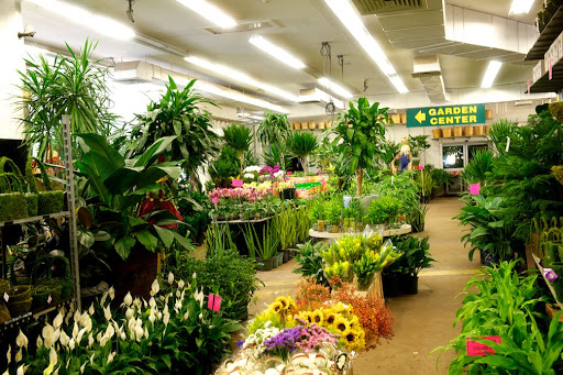 Associated Wholesale Florist