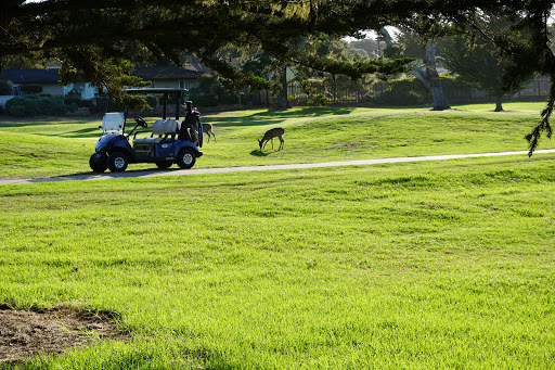 Golf Course «Pacific Grove Golf Links», reviews and photos, 77 Asilomar Ave, Pacific Grove, CA 93950, USA