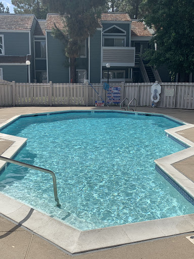 Pool cleaning service Antioch