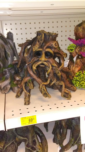 Pet Supply Store «PetSmart», reviews and photos, 1275 N Military Hwy, Norfolk, VA 23502, USA