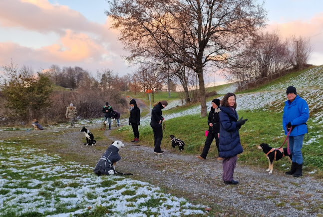 Rezensionen über Janamape's Hundeschule in Freienbach - Hundeschule