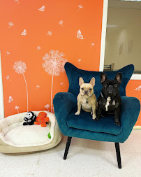 Posh Pet Club - Photo 2 - Car repair in Chicago, IL, Chicago