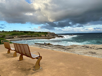 Clovelly Beach