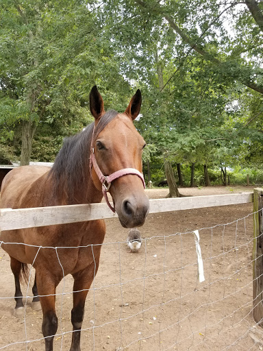 Historical Landmark «Shore Line Trolley Museum», reviews and photos, 17 River St, East Haven, CT 06512, USA