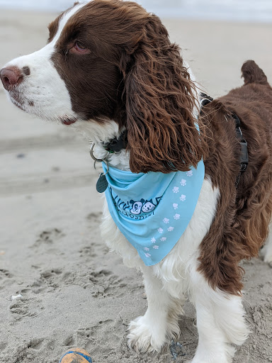 535 Maple Ave, Linwood, NJ 08221, USA