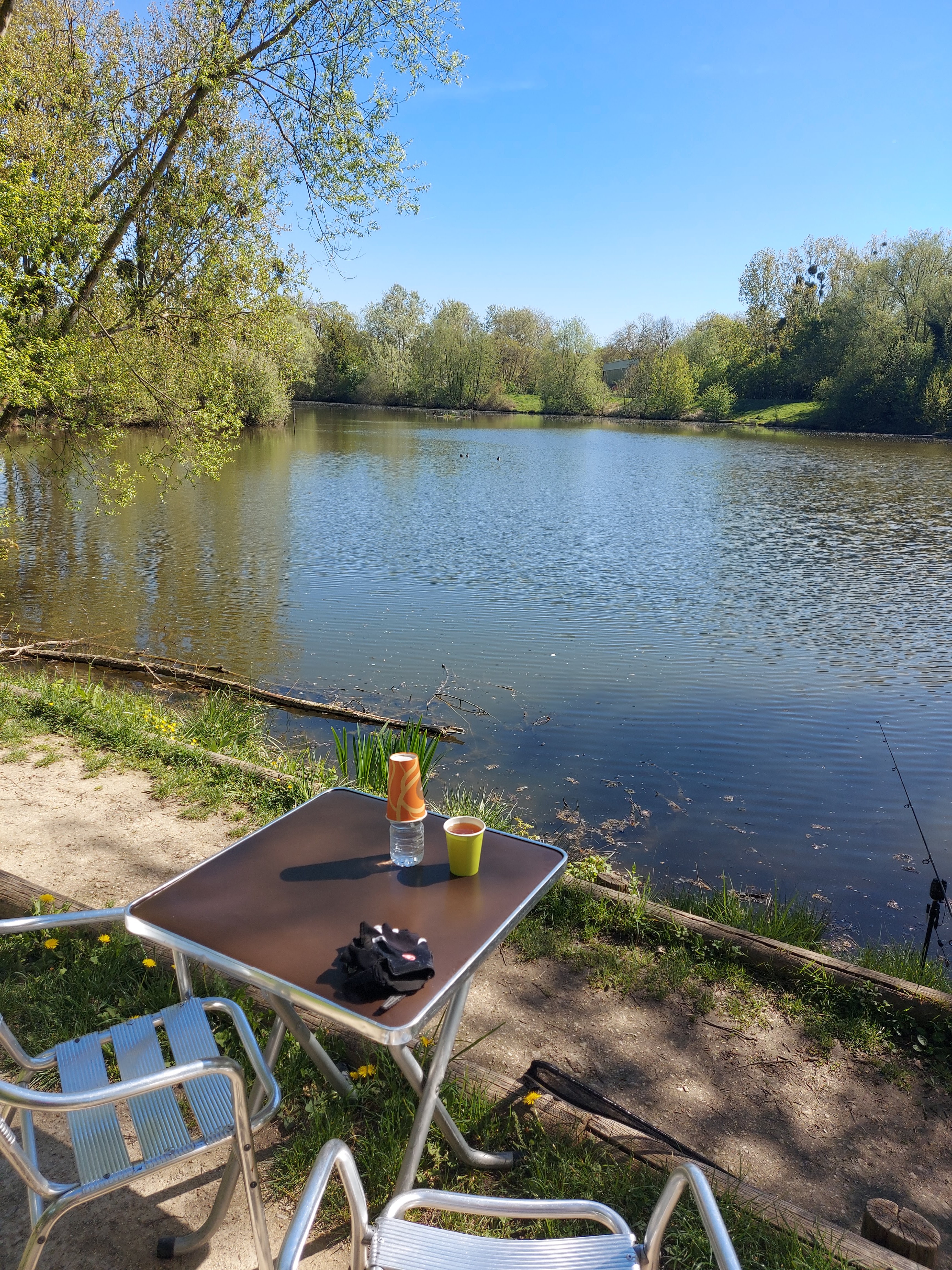 Photo n° 6 de l'avis de Philippe.E fait le 26/09/2020 à 14:51