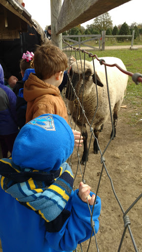 Christmas Tree Farm «Piney Acres», reviews and photos, 1115 E 1000 N, Fortville, IN 46040, USA