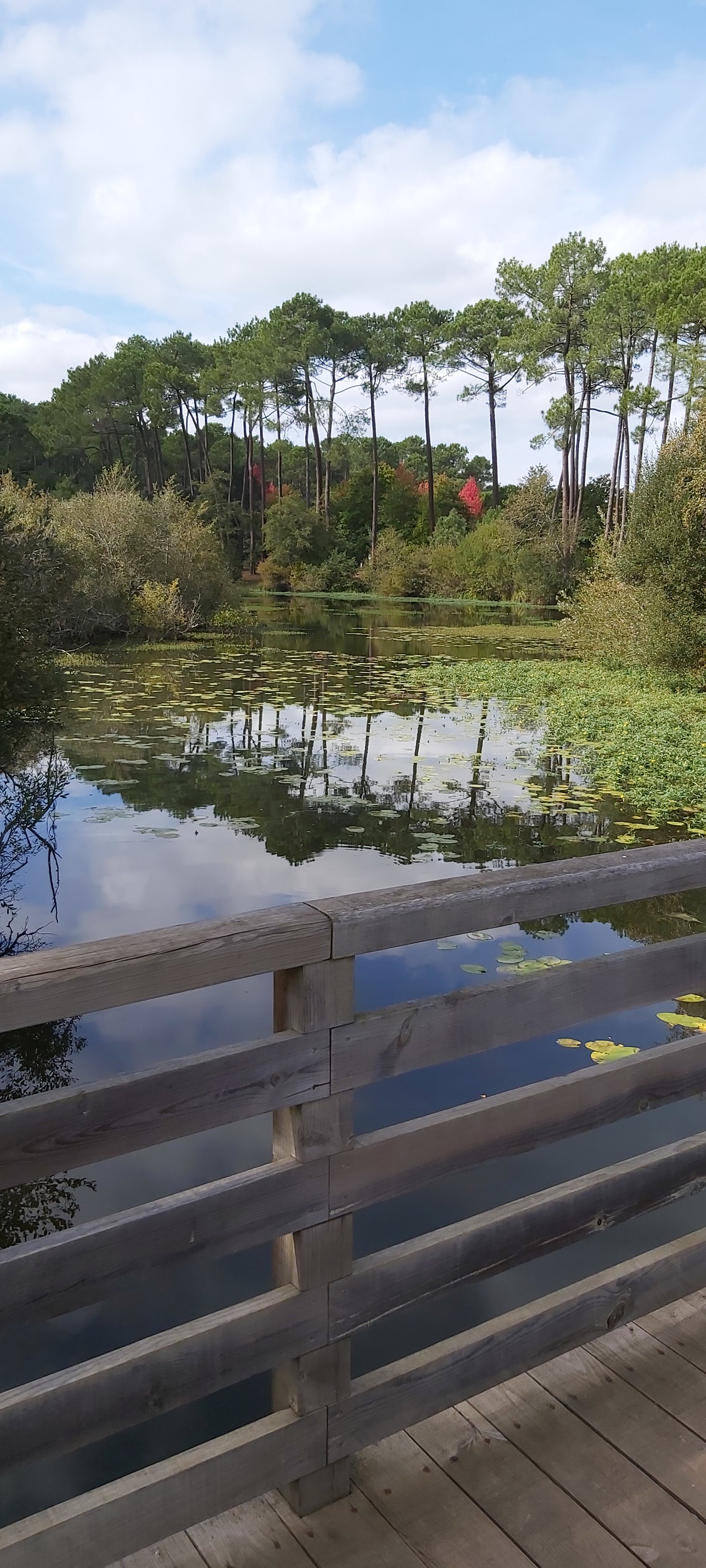 Photo n° 8 de l'avis de Laetitia.. fait le 10/10/2020 à 16:16