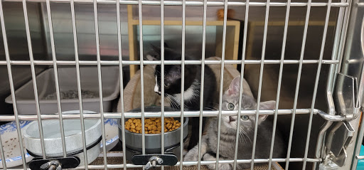 Pet Supply Store «PetSmart», reviews and photos, 111 Nassau Park Blvd, Princeton, NJ 08540, USA