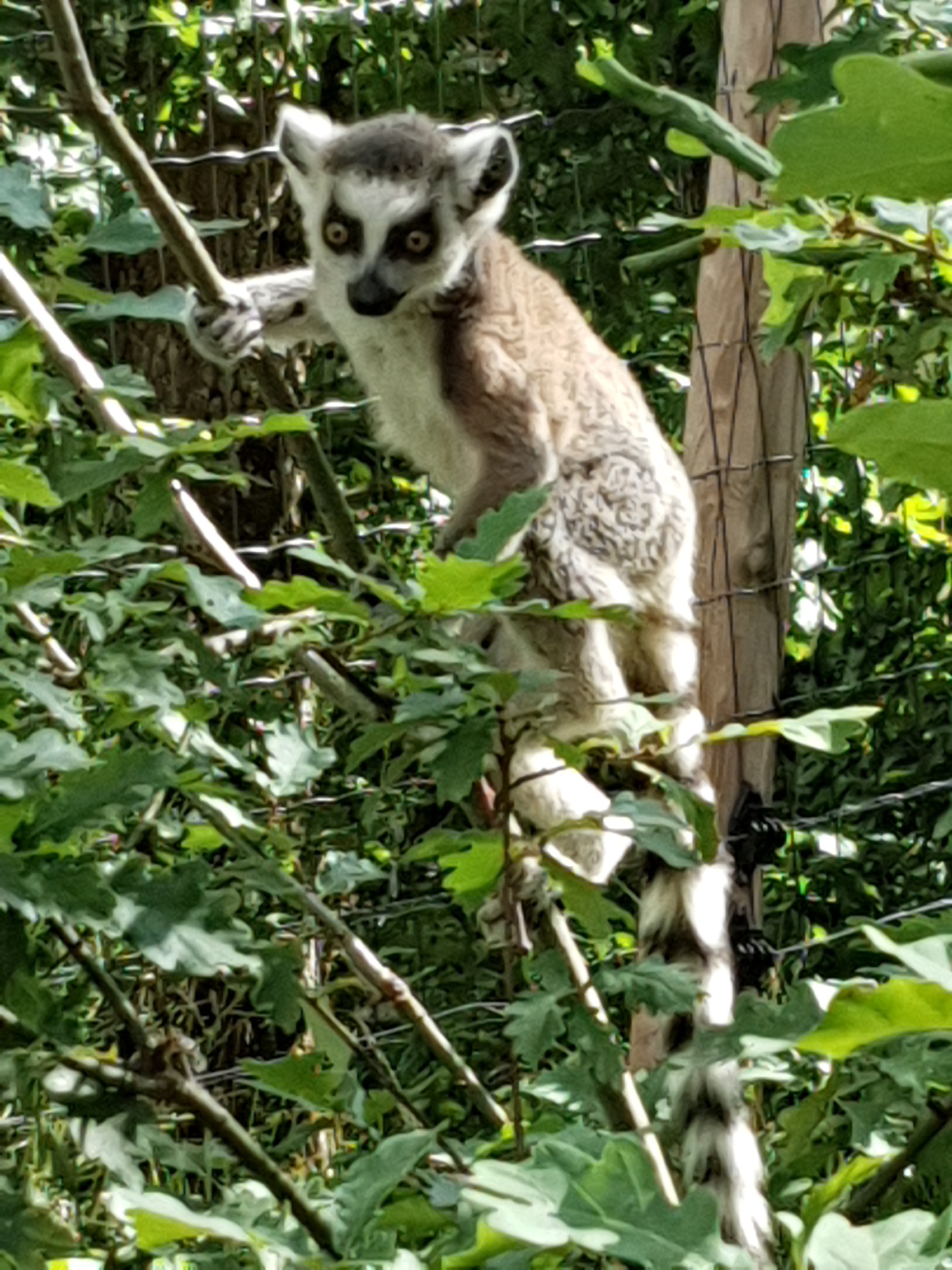 Photo n° 17 de l'avis de Katia.I fait le 03/08/2019 à 22:20