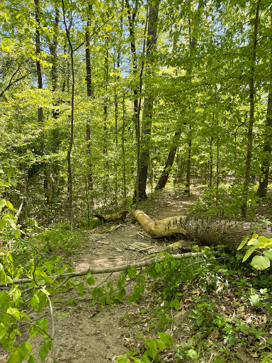 West Branch Nature Preserve North Trailhead