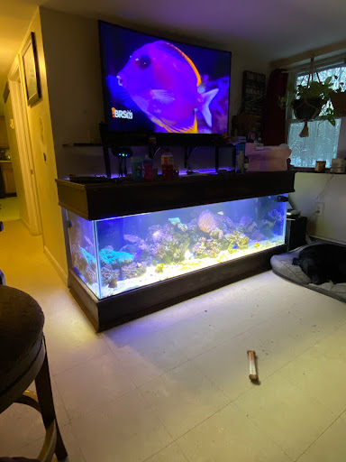 Pet Store «Laconia Pet Center», reviews and photos, 1343 Union Ave, Laconia, NH 03246, USA