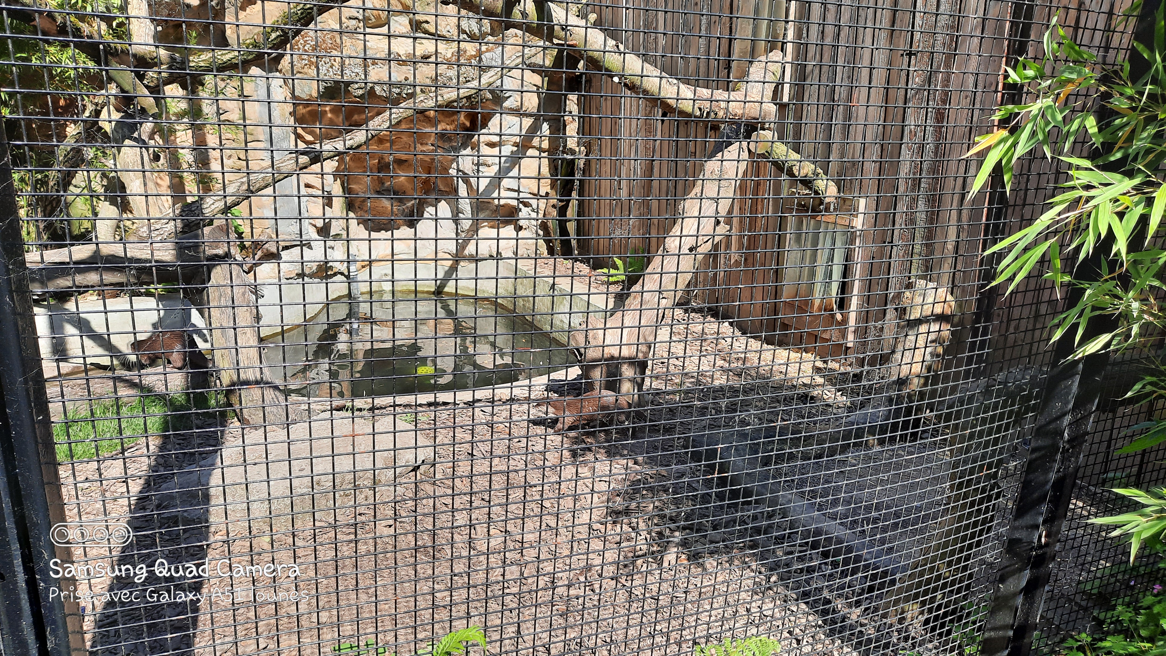 Photo n° 39 de l'avis de Lounes. fait le 02/06/2021 à 21:26