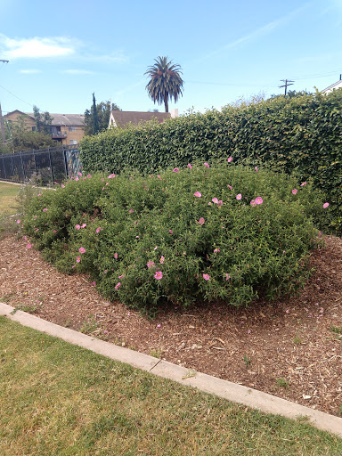 Park «Orizaba Park», reviews and photos, 1435 Orizaba Ave, Long Beach, CA 90804, USA