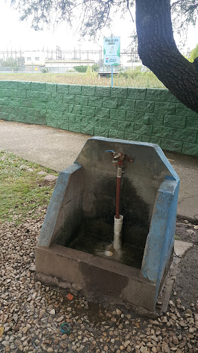 Fuente de agua potable