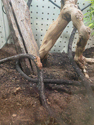 Pet Supply Store «Coastline Pet Supply», reviews and photos, 3530 Northgate Dr, Myrtle Beach, SC 29588, USA