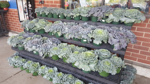 Grocery Store «Stop & Shop», reviews and photos, 333 W River St, Providence, RI 02904, USA