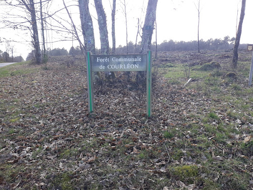 attractions Forêt Communale de Courléon Courléon