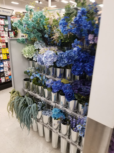 Craft Store «Michaels», reviews and photos, 4255 Pheasant Ridge Dr NE, Blaine, MN 55449, USA