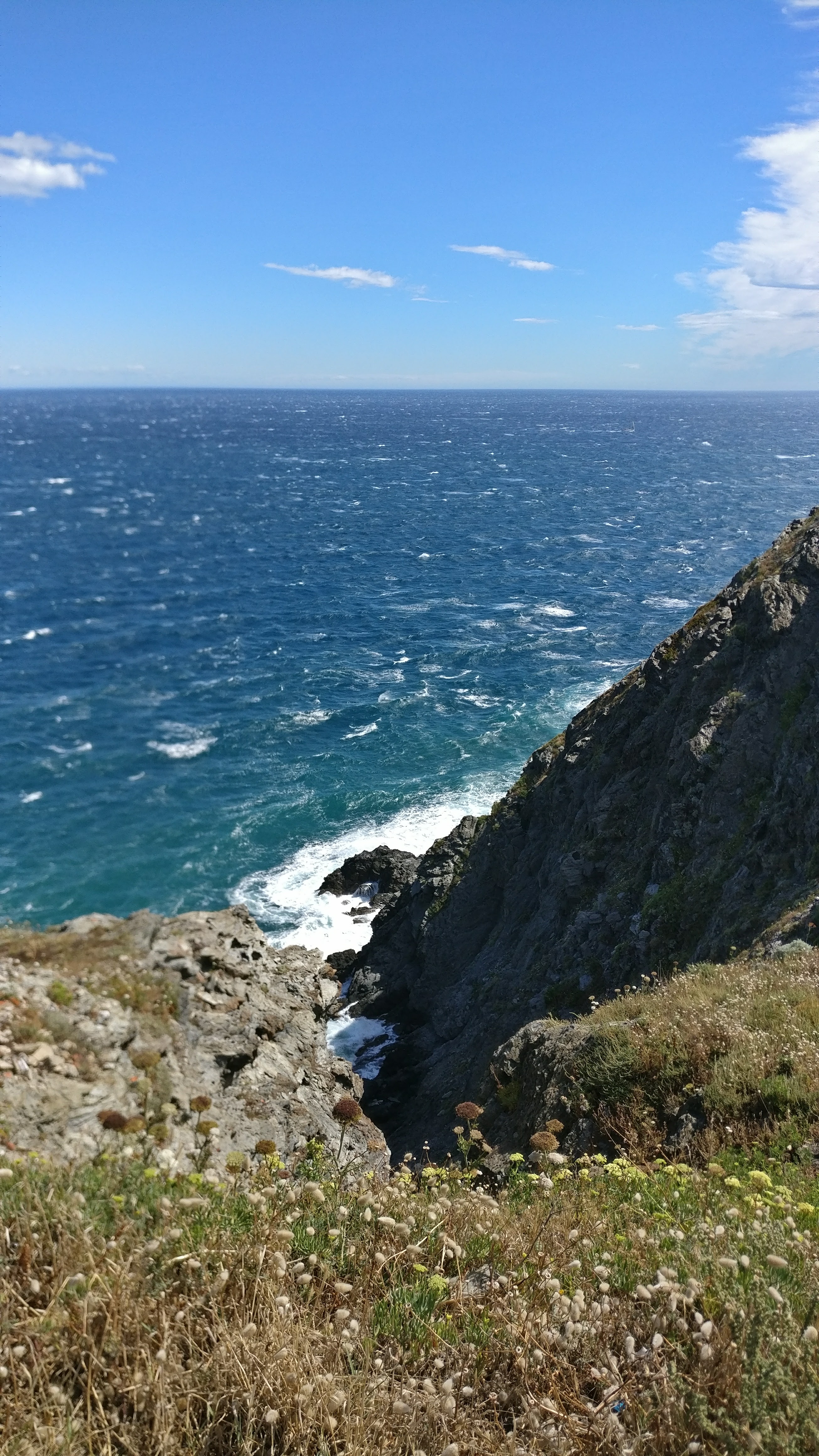 Photo n° 1 de l'avis de Emile.e fait le 14/08/2017 à 18:01