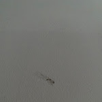 Photo n°1 de l'avis de Olesya.r fait le 08/09/2021 à 04:39 sur le  Hotel Griso Collection à Malgrate