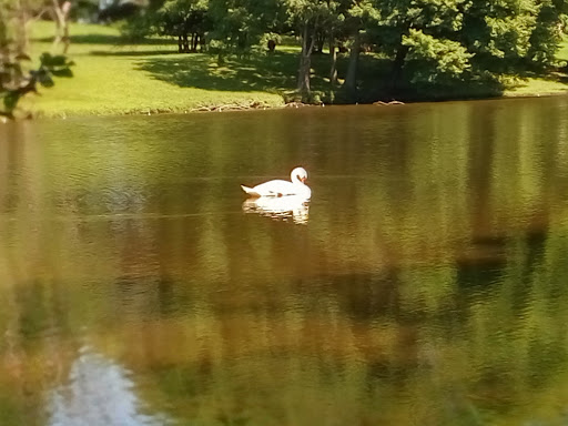 Tire Shop «Mavis Discount Tire», reviews and photos, 63 NJ-31, Pennington, NJ 08534, USA