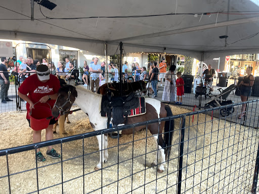 Winery «Landon Winery», reviews and photos, 101 N Kentucky St, McKinney, TX 75069, USA