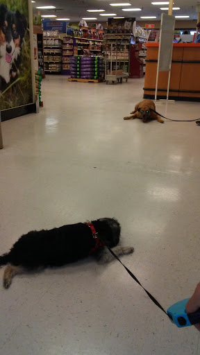 Auto Parts Store «Pep Boys Auto Parts & Service», reviews and photos, 6340 N Davis Hwy, Pensacola, FL 32504, USA