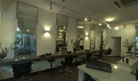 Vogue Professionell Hairstyling
