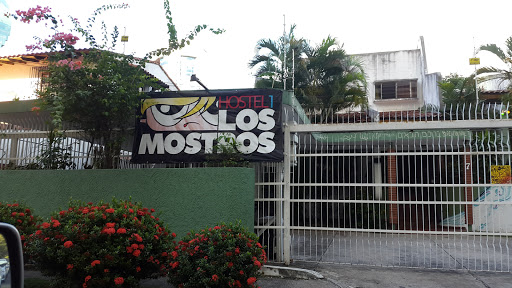 Hostel Los Mostros