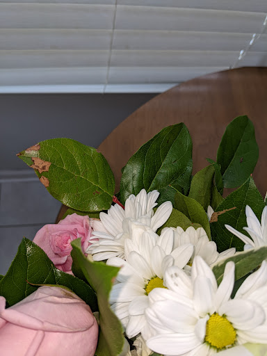 Florist «Flowers by Melinda», reviews and photos, 1403 Grand Central Ave, Lavallette, NJ 08735, USA