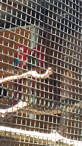 Zoo «Gulf Breeze Zoo», reviews and photos, 5701 Gulf Breeze Pkwy, Gulf Breeze, FL 32563, USA