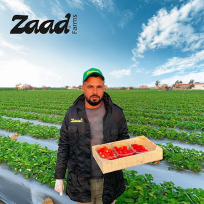 زاد فارمز Zaad farms