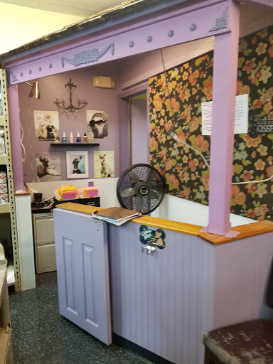 Pet Supply Store «City Pets & Ponds», reviews and photos, 4029 Mill St, Kansas City, MO 64111, USA