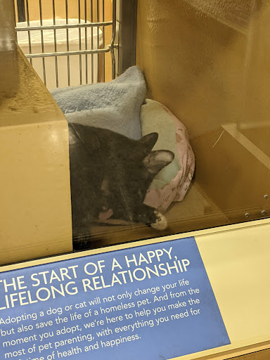 Pet Supply Store «PetSmart», reviews and photos, 28533 Marlboro Ave, Easton, MD 21601, USA