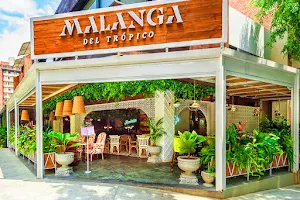 Malanga del trópico image