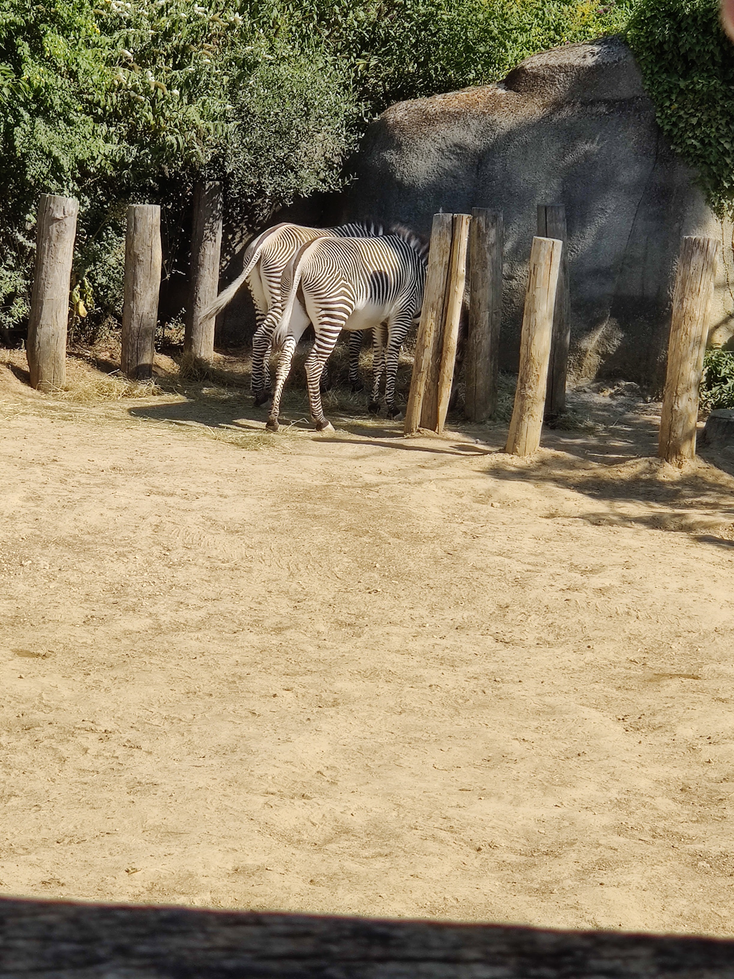 Photo n° 7 de l'avis de Francine.o fait le 18/09/2018 à 11:56