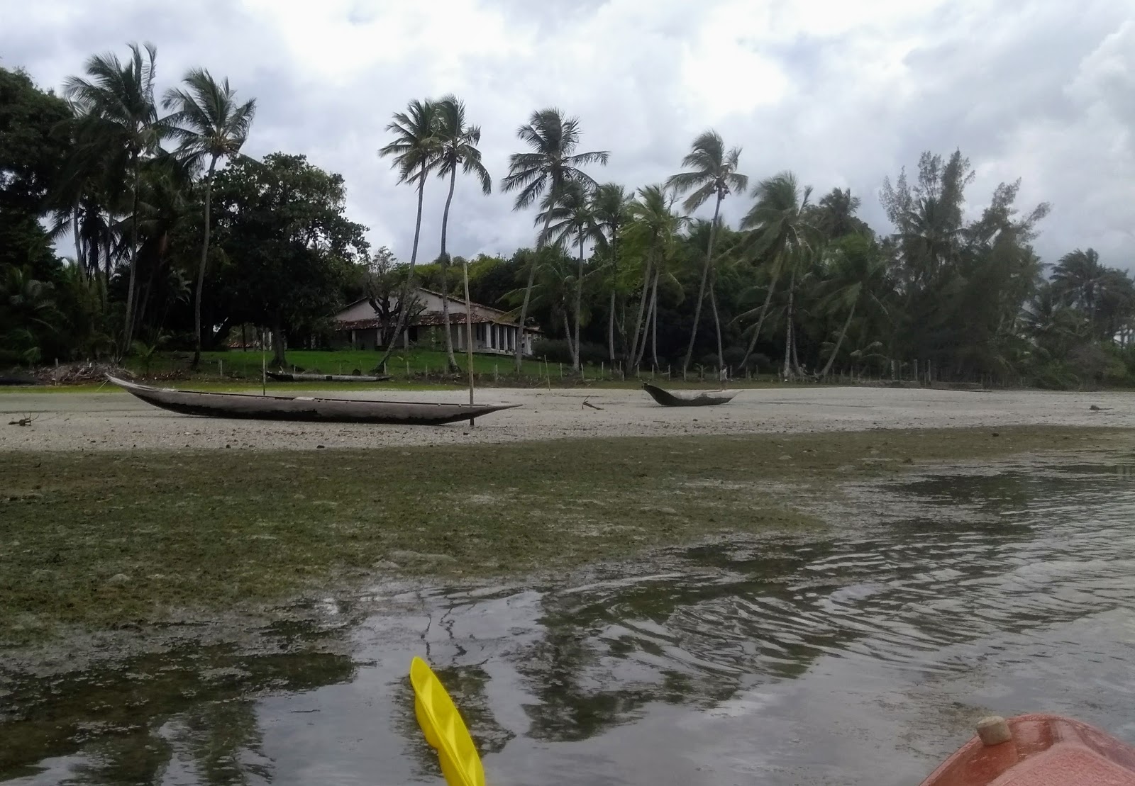 Praia de Muta photo #8