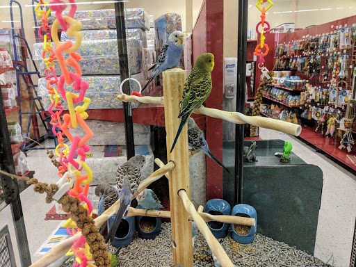 Pet Supply Store «Petco Animal Supplies», reviews and photos, 3300 Broadway St, Eureka, CA 95501, USA