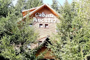 Cabana Ancutei image