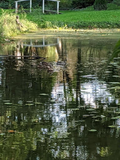 Golf Club «Fern Hill Golf Club», reviews and photos, 17600 Clinton River Rd, Charter Twp of Clinton, MI 48038, USA