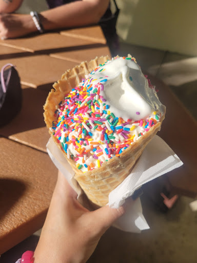 Ice Cream Shop «Neighbors Ice Cream Parlor», reviews and photos, 5980 Spruce Creek Rd, Port Orange, FL 32127, USA