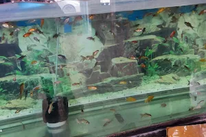 Alatay pet shop image