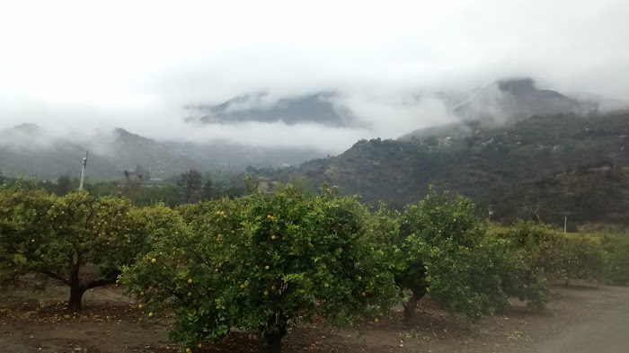 Restaurant near Fairfield Inn & Suites by Marriott McPherson