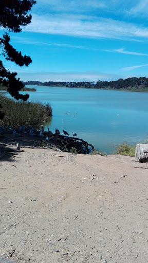 Park «Lake Merced Park», reviews and photos, Skyline Blvd & Harding Rd, San Francisco, CA 94132, USA