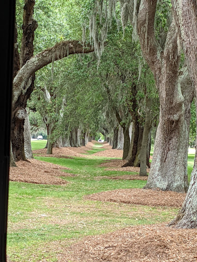 Tourist Attraction «Lighthouse Trolleys», reviews and photos, 559 Magnolia Ave, Saint Simons Island, GA 31522, USA