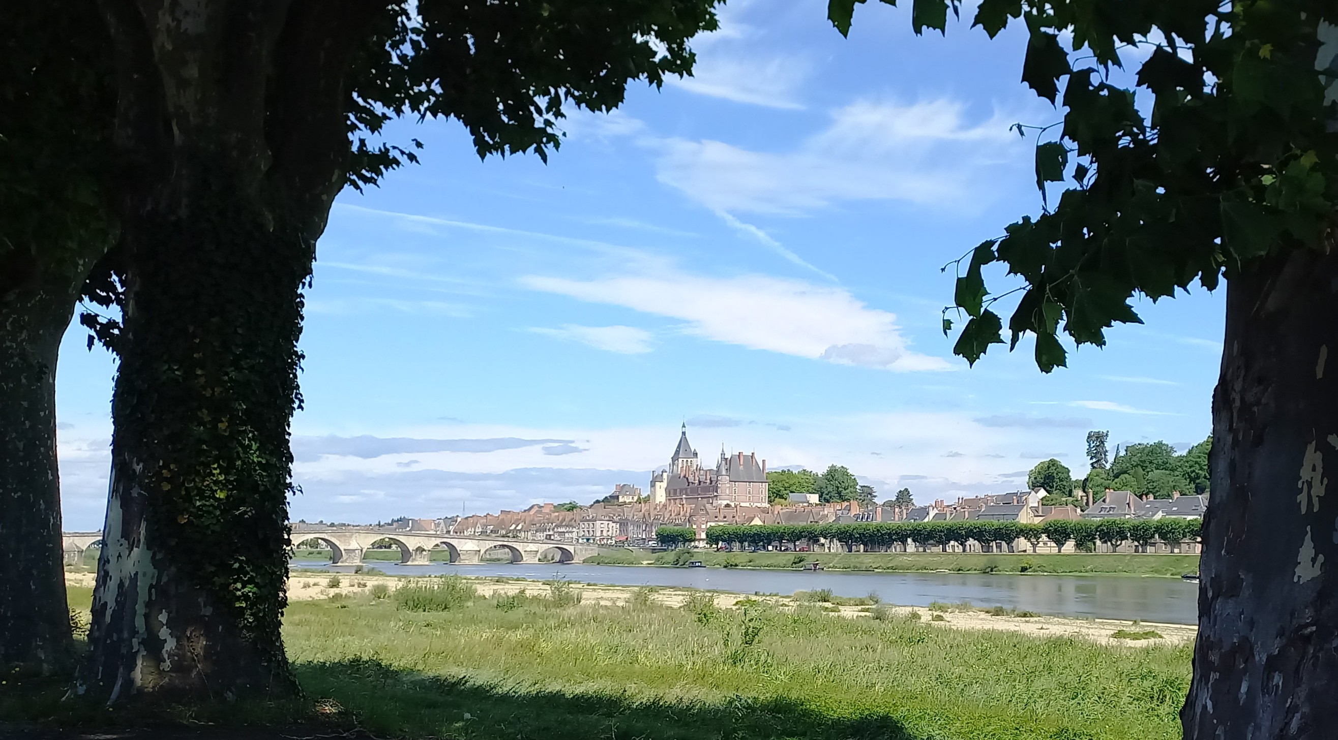 Photo n° 1 de l'avis de Jan.e fait le 25/07/2022 à 11:40