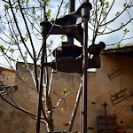 Photo n°16 de l'avis de Vincenza.r fait le 17/05/2019 à 22:23 sur le  Omu Axiu à Orroli