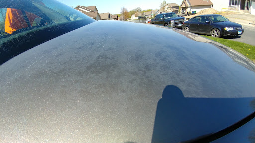 Max Shine Auto Detailing en Northfield