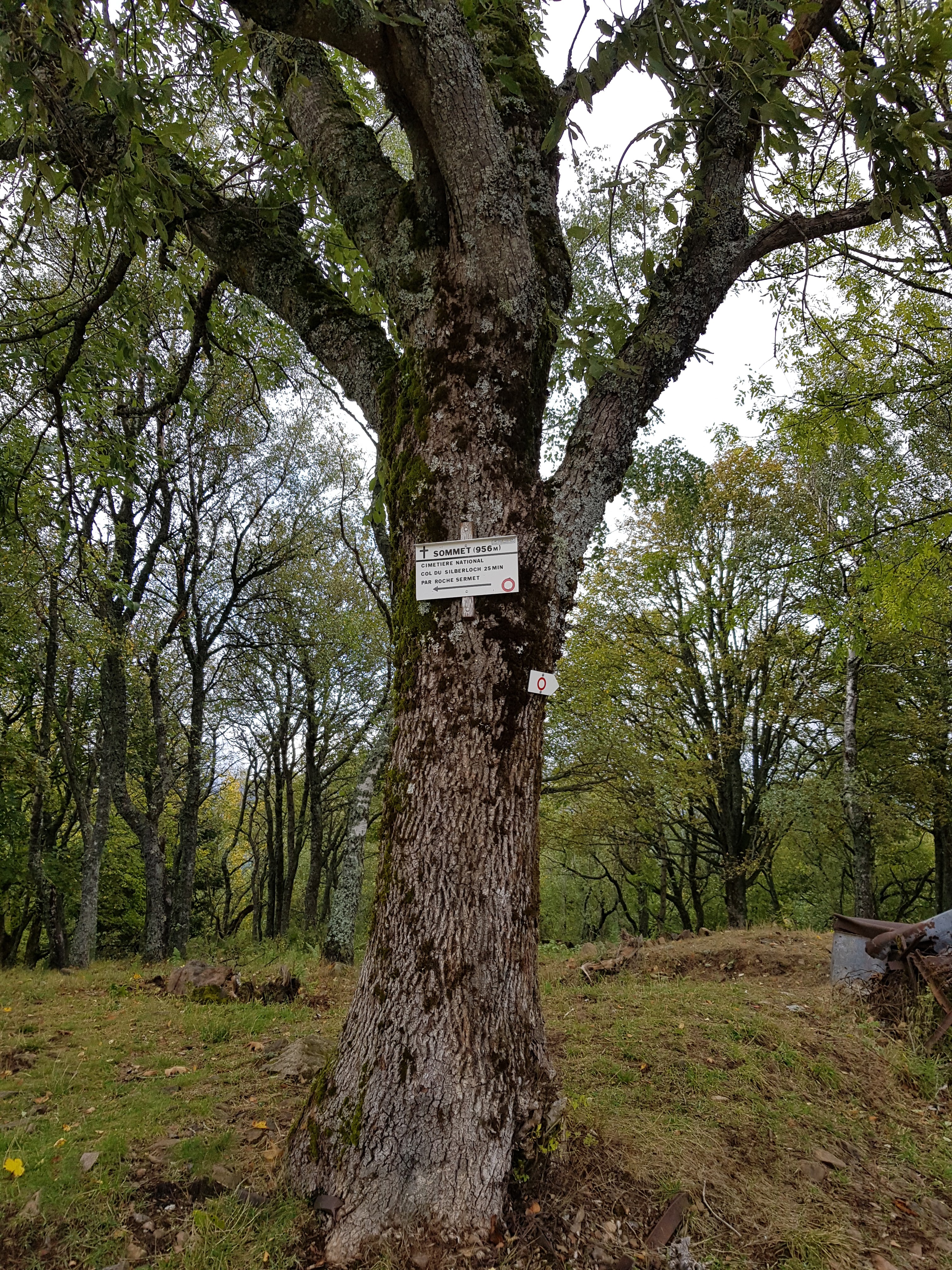 Photo n° 5 de l'avis de michael.a fait le 11/10/2019 à 11:22